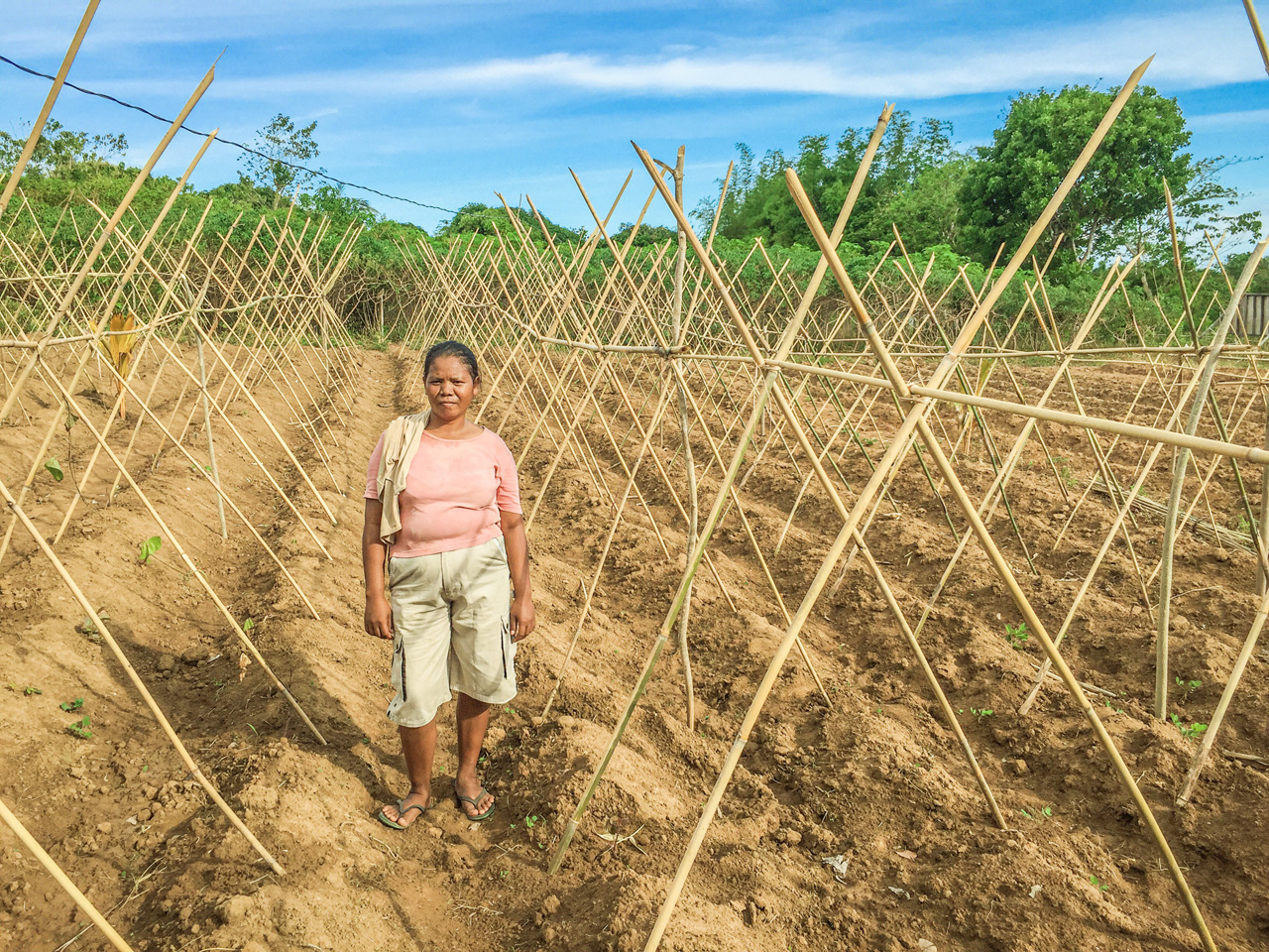 WOMEN FARMERS. Pala'wan indigenous woman Jesmina Saguran visits the demo farm every other day to check the growth of the ube they recently planted. Photo by Keith Anthony S. Fabro/Rappler  