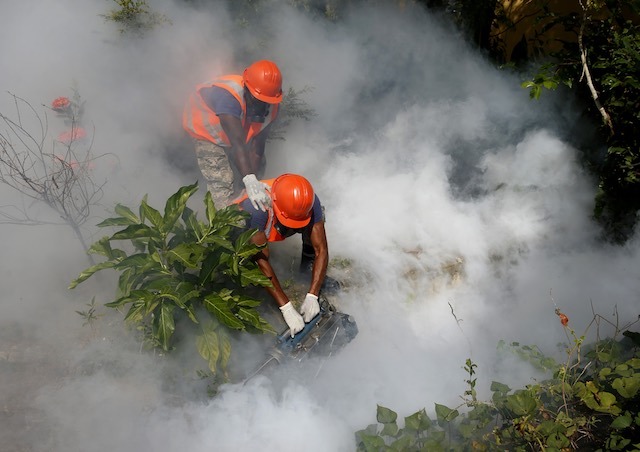 fumigate