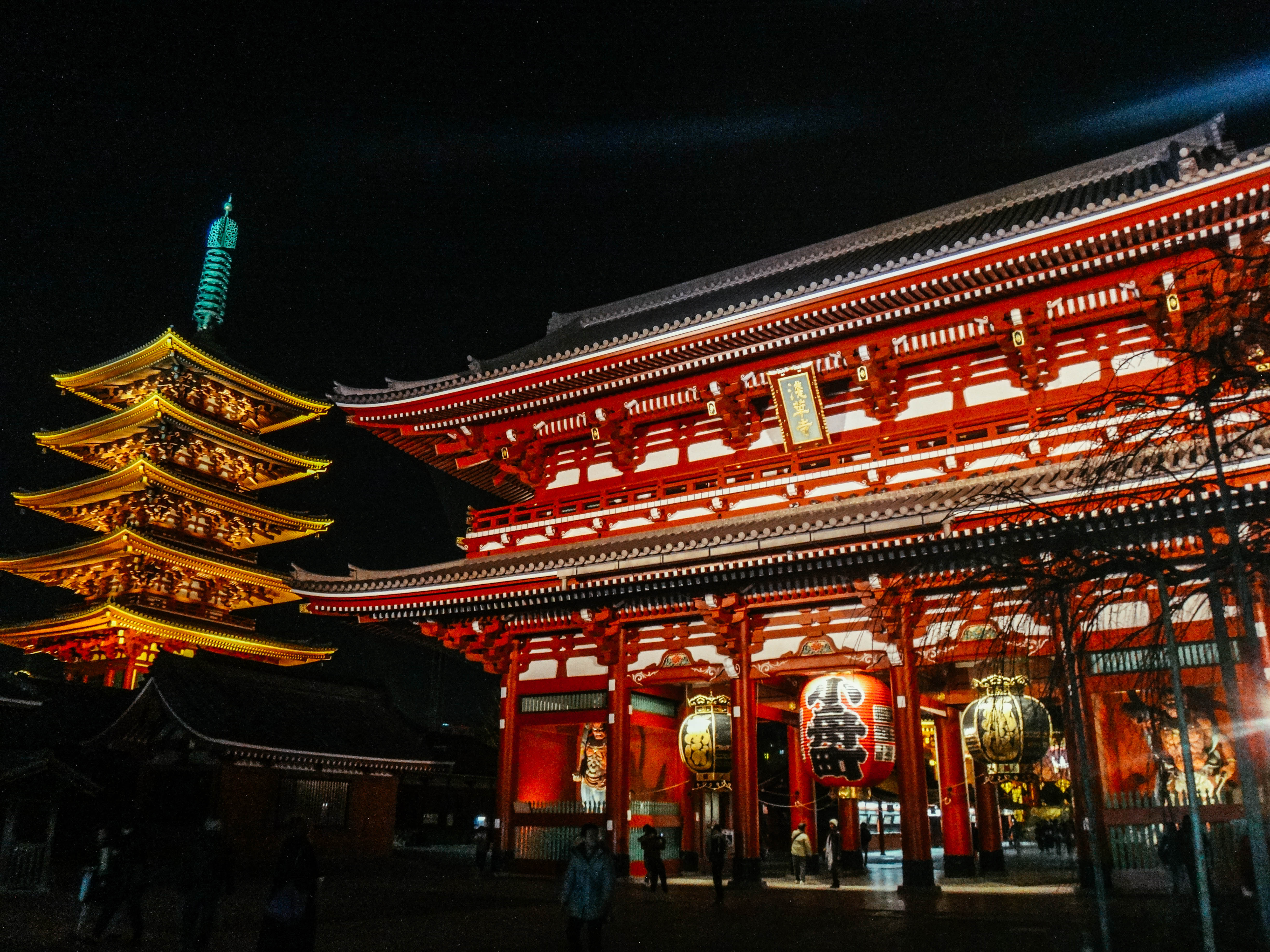 JAPAN. Tokyo is one of the destinations in our comprehensive budget guide. Photo provided by Irene Maligat 