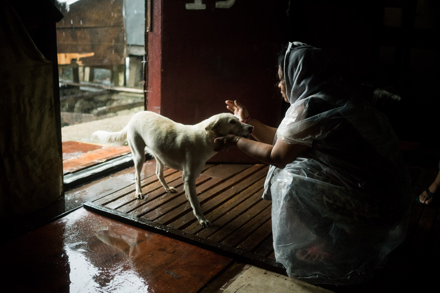 CANINE FRIENDS. Janet Romulon checks on one of her 3 dogs in their small home in a coastal village in Tacloban City as strong winds from Tropical Storm Urduja pummeled Eastern Visayas on December 16, 2017. Photo by Martin San Diego/Rappler  