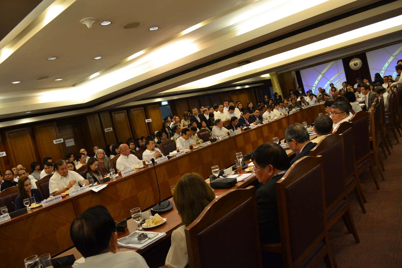 NOT FOR NOW. One thing is certain for the Philippine economy in the coming years: deficits are not going away, the economic team of President Rodrigo Duterte tells the House committee. Photos by Chrisee Dela Paz/Rappler   