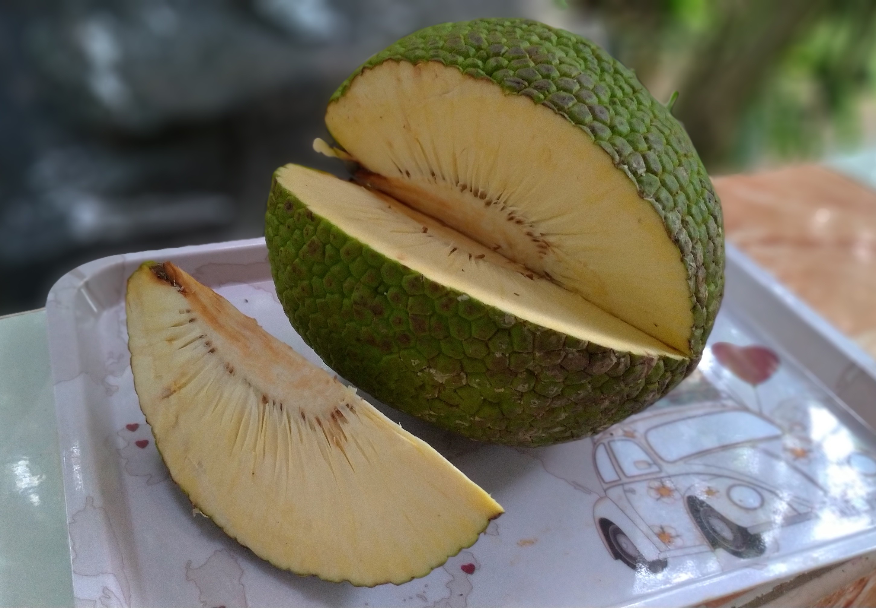 BREADFRUIT. Can breadfruit serve as an alternative to rice? Photo courtesy of Mavic Conde/Rappler  