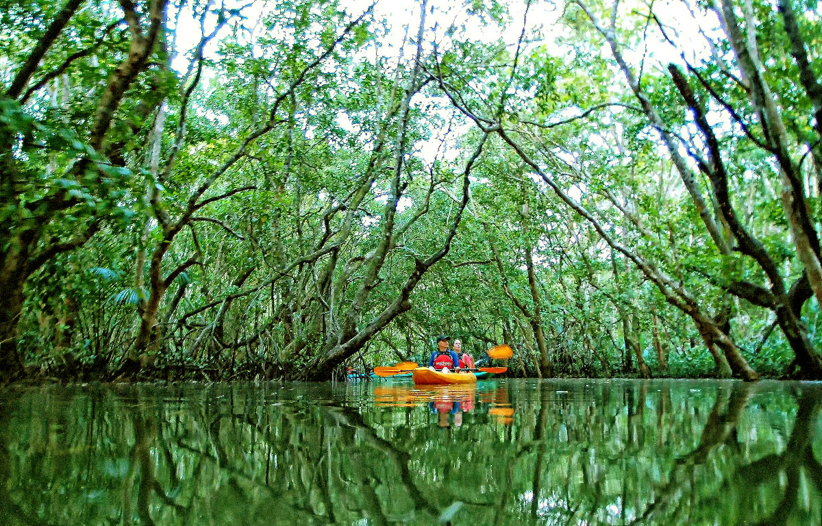 MAGICAL RIVER JOURNEY. Abatan River has mangrove forests perfect for enjoying beauty amid quiet. Photo courtesy of KayakAsia Philippines. All other photos by Rhea Claire Madarang unless otherwise specified 