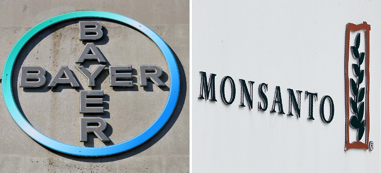 DEAL REACHED. This combination of file pictures shows the logo of German pharmaceutical giant Bayer (L, on September 8, 2016 in Leverkusen) and the logo of Monsanto at its Belgian manufacturing site and operations center (on May 24, 2016 in Lillo near Antwerp). Photos by Patrik Stollarz and John Thys/AFP 
