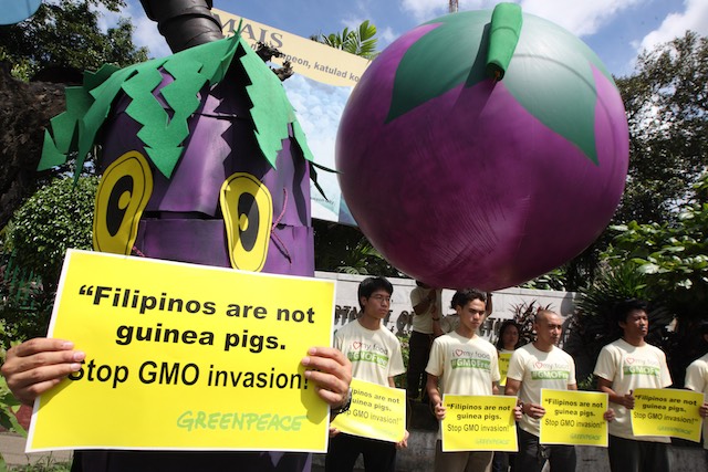A Filipino Greenpeace activist wearing an eggplant costume and fellow protesters hold up signs against GMOs, during a demonstration outside the Department of Agriculture in Quezon City, June 5, 2012. Rolex dela Peña/EPA