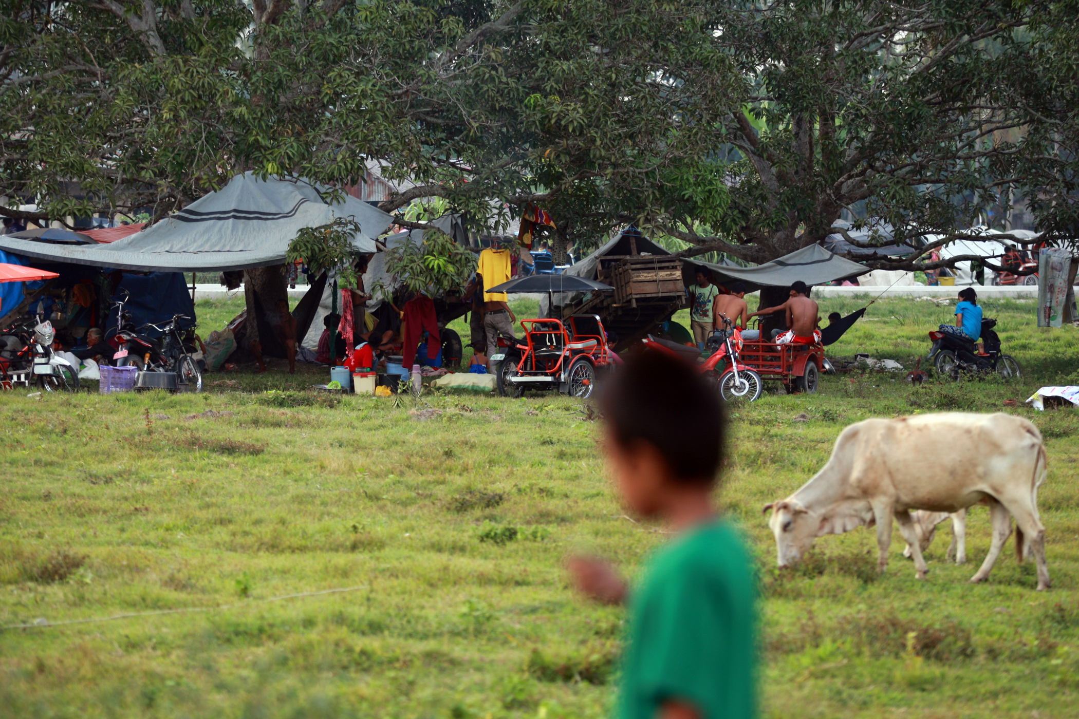 HUMANITARIAN CRISIS. Residents displaced by the fighting are seen in Shariff Aguak town in Maguindanao. The military launched attacks against the the Bangsamoro Islamic Freedom Fighters in Maguindanao on February 25, 2015. Photo by Jef Maitem/Rappler  