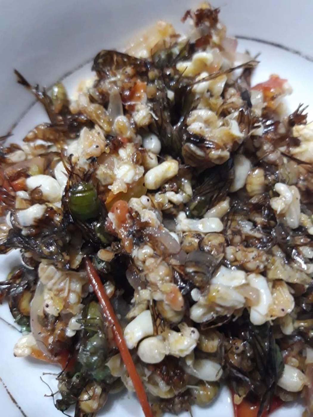 The abuos dish of ant larvae and young ants sauteed with tomato and Ilocano garlic. 