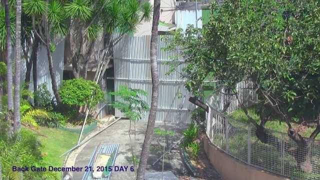 HIGH FENCES. This photo shows the building of high fences in No. 36 Tandang Sora. Photo sourced by Rappler   