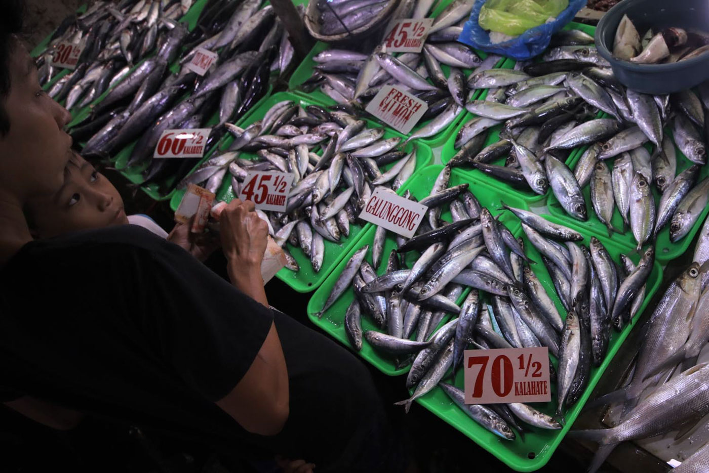 PRICES UP, SIZES DOWN. A survey commissioned by Oceana says Filipinos have been buying more expensive, yet smaller fish in the markets lately. Photo by Darren Langit/Rappler   