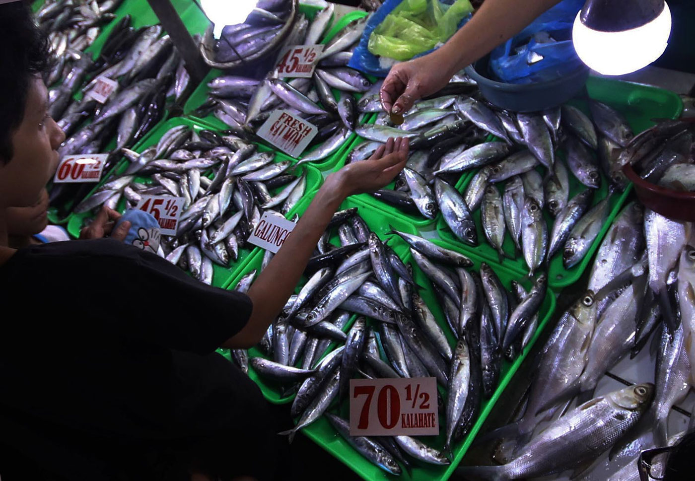 IMPORTS. A fish vendor sells galunggong or round scad. Photo by Darren Langit/Rappler 