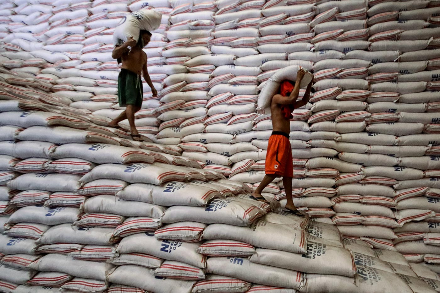 RICE MATTERS. Rice tariffication will be in full swing this 2019. Photo by Darren Langit/Rappler 