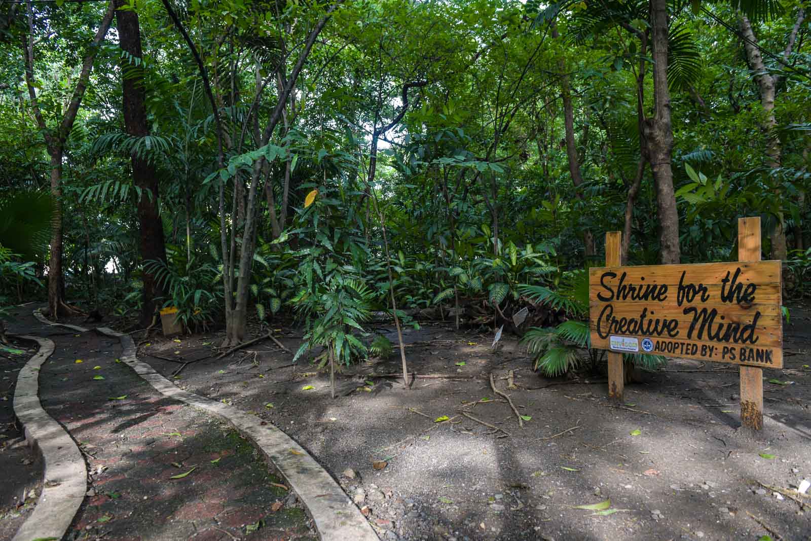 GREEN SHRINE. The 2.2 hectare Arroceros Forest Park is known as Manila's last lung. Photo by LeAnne Jazul/Rappler 
