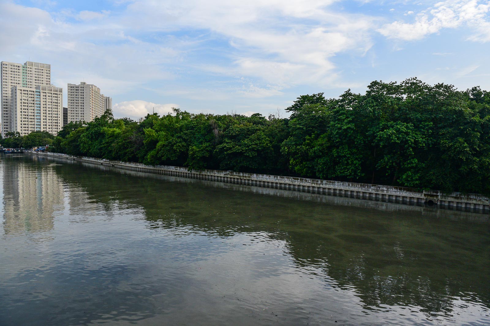 FROM THE OUTSIDE. The Arroceros Forest Park as seen from the Pasig River. Photo by LeAnne Jazul/Rappler 
