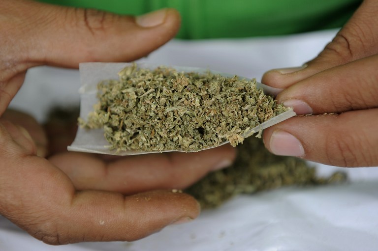 BIG MISTAKE. A drug dealer carrying marijuana walks into a police car after mistaking it for a taxi. File photo by AFP 