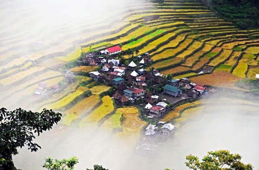 BANAUE Rice Terraces. Photo by Mau Victa/Rappler 