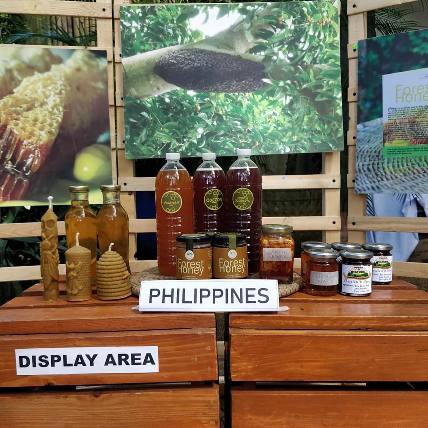 Honey is known to have medicinal properties and scientists are working on building more data to confirm its health benefits. Photo courtesy of Non-TImber Forest Products-Exchange Program 