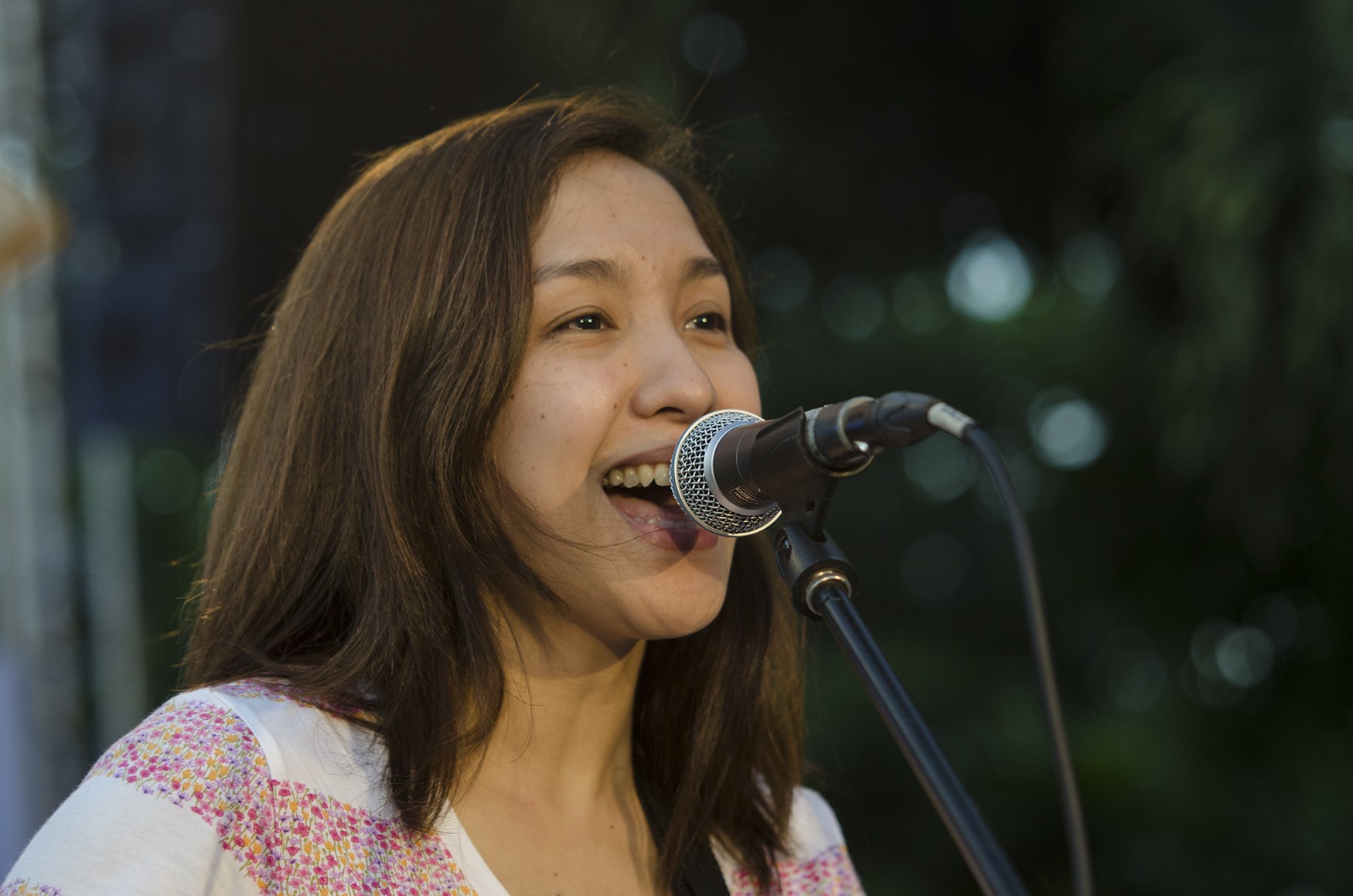 IN PHOTOS Stars at Jejomar Binay's miting de avance