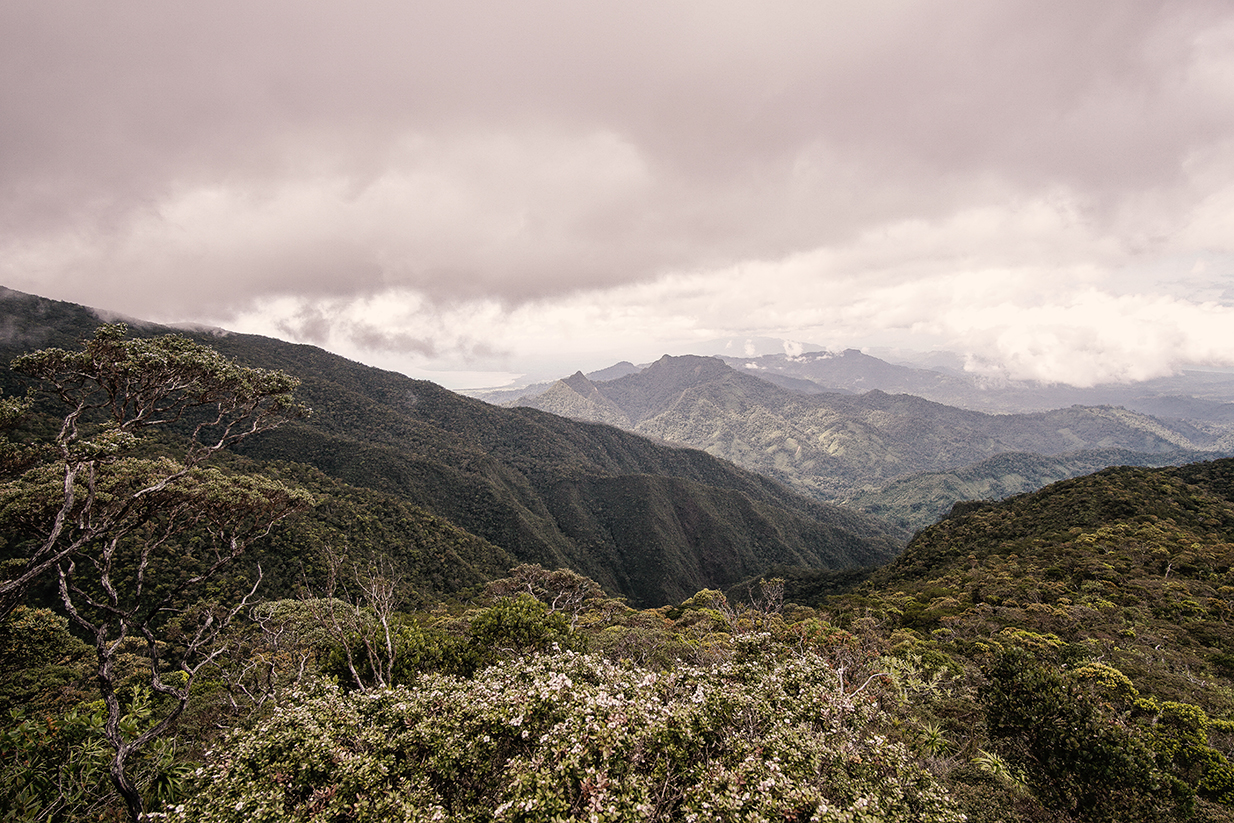 UNESCO title seen to help safeguard Palawan's imperiled mountain range