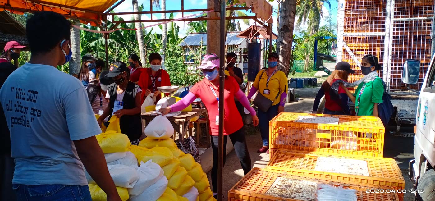 better-than-canned-goods-tacloban-buys-relief-goods-from-local-farmers