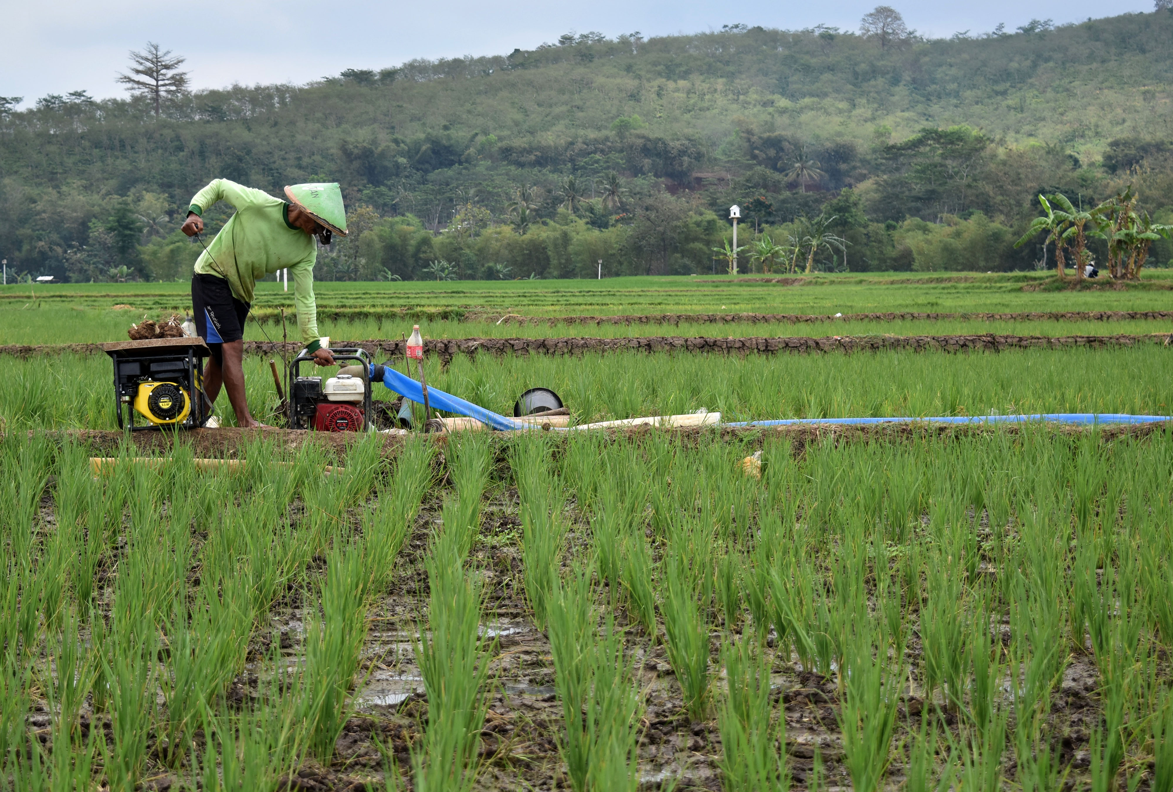 Apa solusi untuk tingkatkan kualitas pertanian Indonesia  