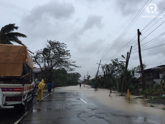 IN PHOTOS: Floods, fallen trees in Ilocos Sur