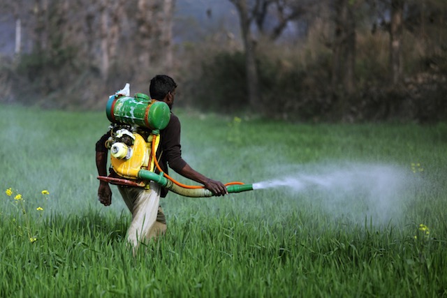 insecticides and pesticides water pollution
