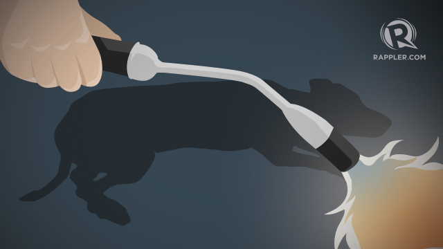 Animal cruelty video angers netizens Animal cruelty video angers netizens
