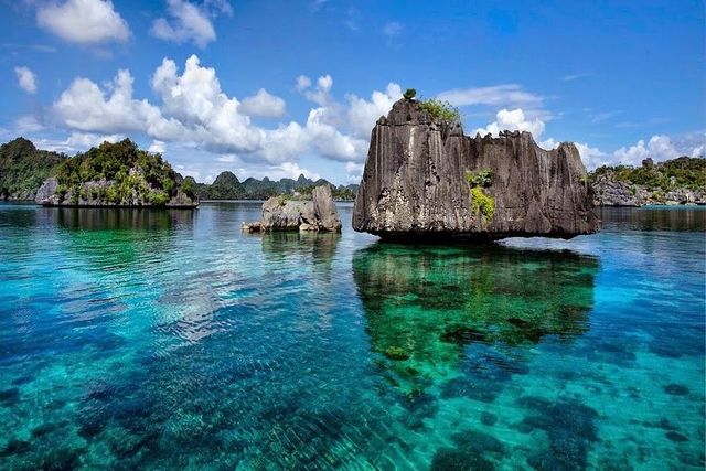 Pulau Misool menjadi jalur lintasan hewan-hewan besar seperti ikan paus dan gurita. Foto dari weird-tales.com/IDN Times 