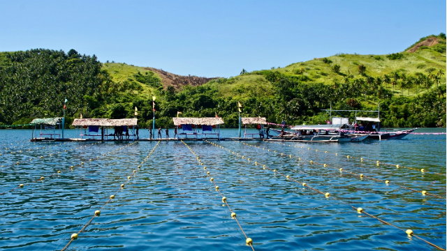 Catbalogan builds PH’s 2nd floating pool to empower athletes