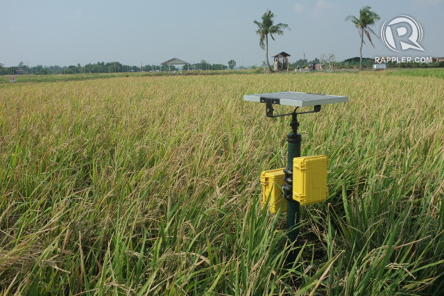 FARMER'S FRIEND. This solar-powered water monitoring and control system sends a text message when water in the rice field becomes critically low. All photos by Pia Ranada/Rappler 