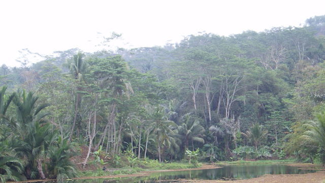 KAMPUNG KUTA. Foto oleh Yuli Saputra/Rappler.com