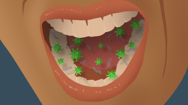 Oral bacteria: Friends and foes of the mouth
