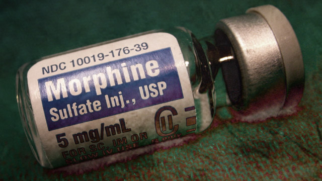 does pushing morphine hasten death in terminal patients