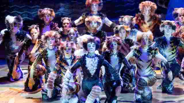 Cats The Broadway musical will be available for broadcast on YouTube for a weekend. Photo from Cats Twitter page 