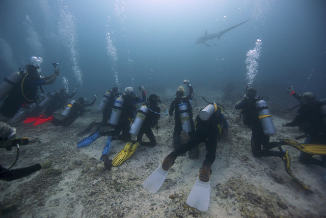 Shark tourism and the rebuilding of Malapascua