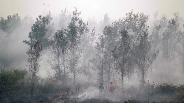 Human intervention in natural phenomena