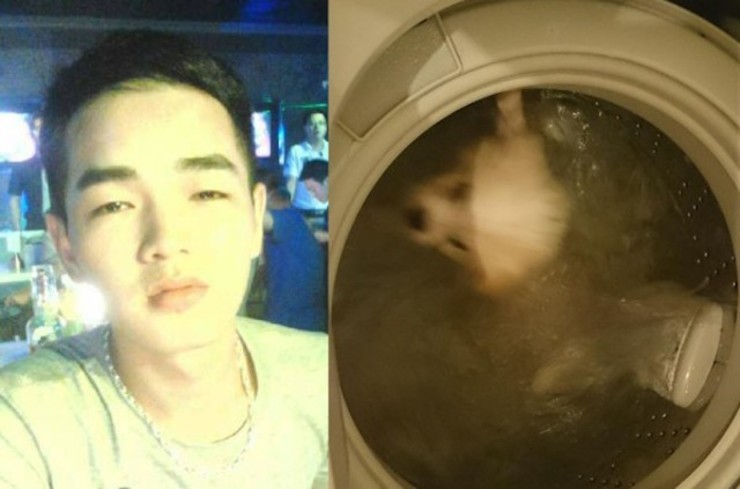 Dog 'cleaned' in washing machine sparks anger in Hong Kong