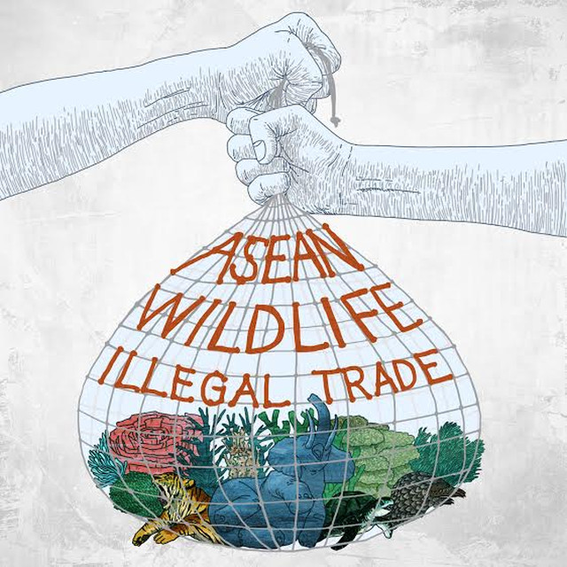 asean-wages-war-against-illegal-wildlife-trade