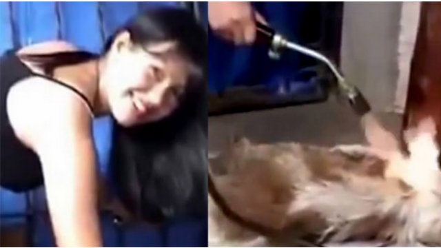 Animal cruelty video angers netizens
