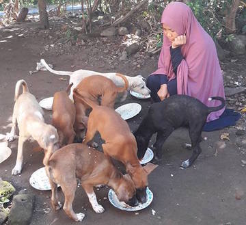 Bagaimana Hukum Memelihara Anjing Dalam Islam