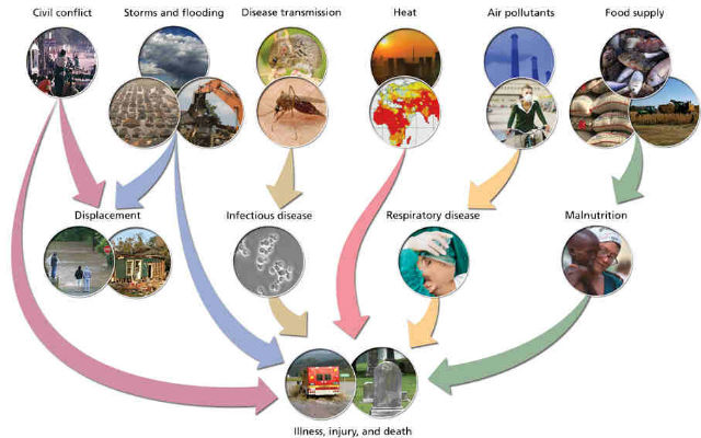 Do no harm: How the health sector can address climate change