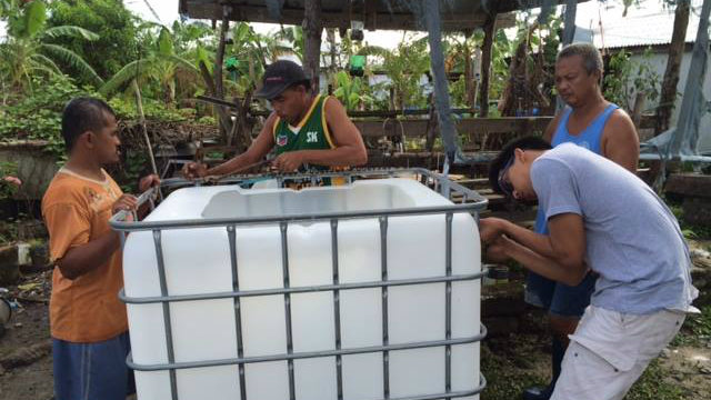 Bahay Kubo Organics: Bringing farming to the city