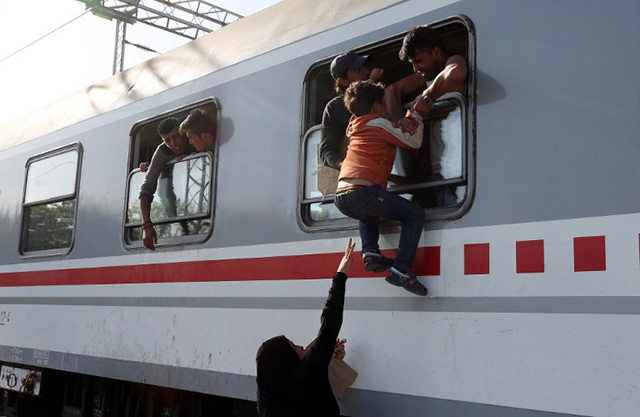 migrants