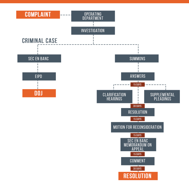 STANDARD PROCEDURE. Standard Procedure for an administrative action under SEC rules, according to Rappler's petition for review. 