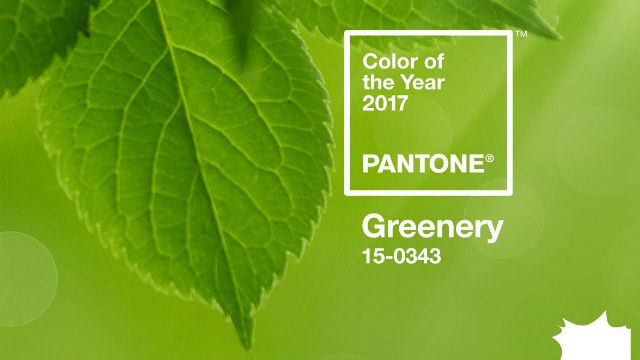 Pantone Color Of The Year 2017 Greenery