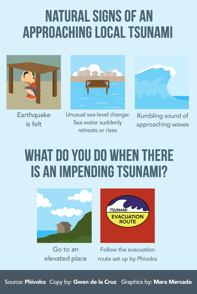 Image result for tsunami infographic