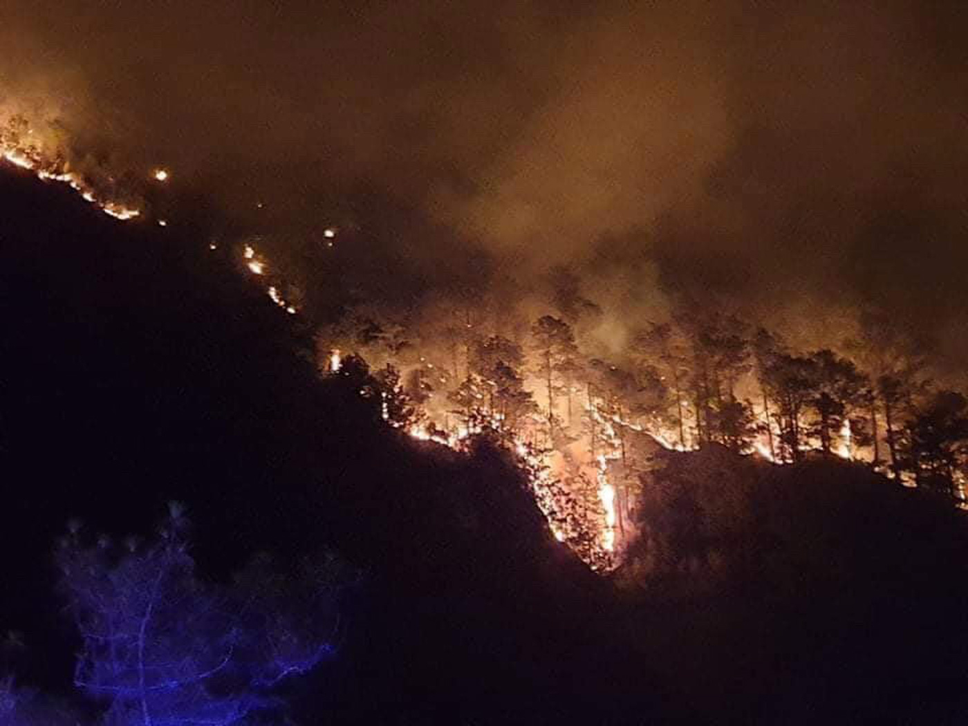 Forest fires razed nearly 900 hectares of land in Benguet