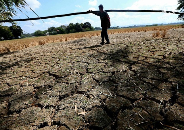 El Niño to have minimal effects on inflation – NEDA