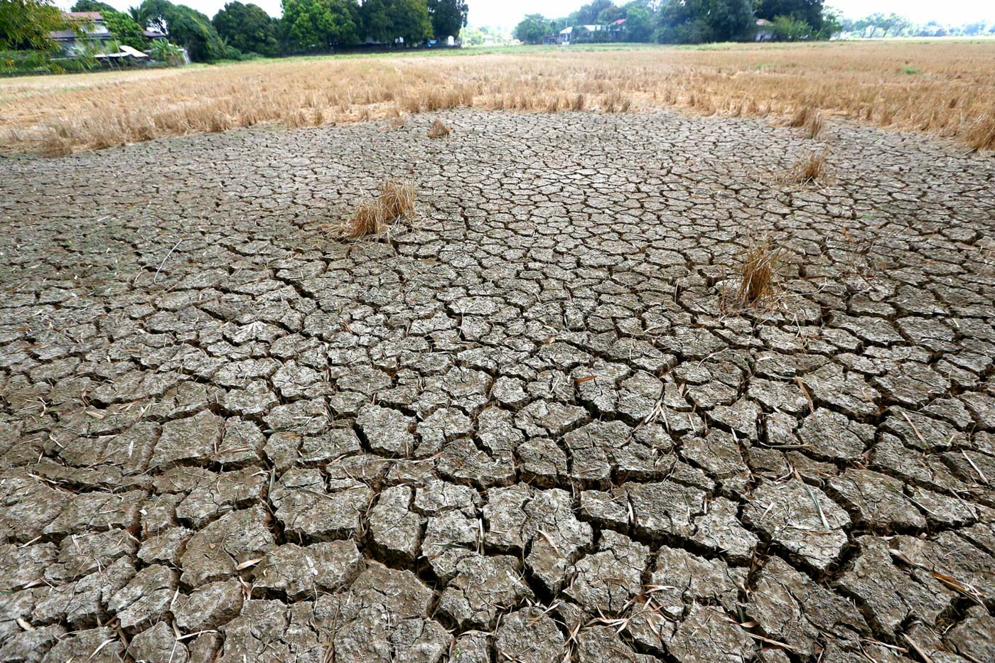 Cebu Province Under State Of Calamity Due To El Ni o