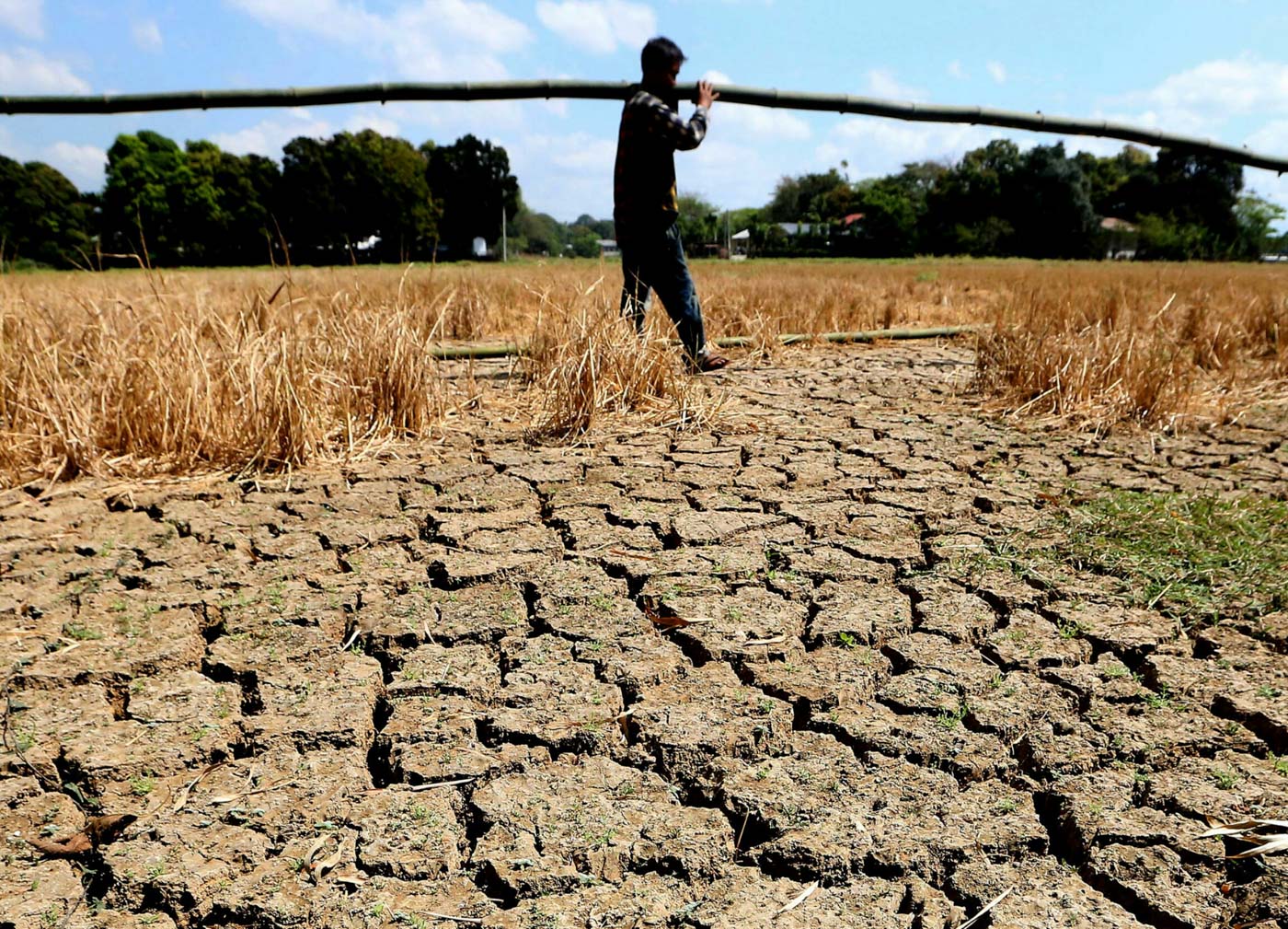 El Niño damage to agriculture now at P7.96 billion DA
